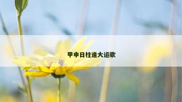 甲申日柱逢大運歌
