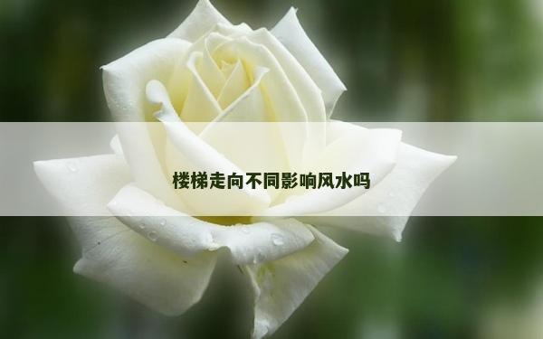 樓梯走向不同影響風水嗎