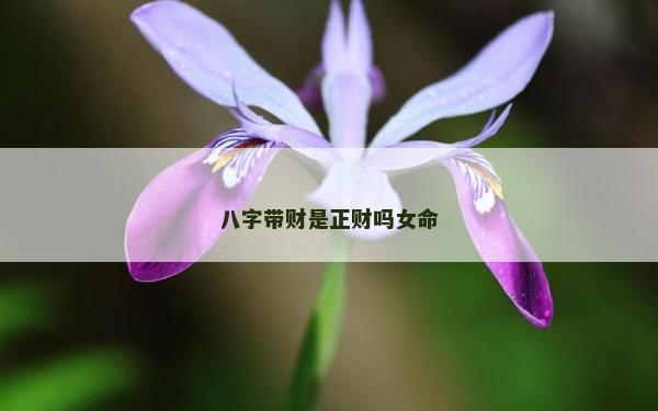八字帶財是正財嗎女命