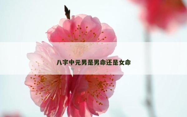 八字中元男是男命還是女命