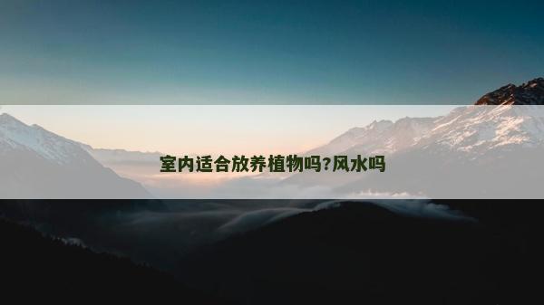 室內適合放養植物嗎?風水嗎