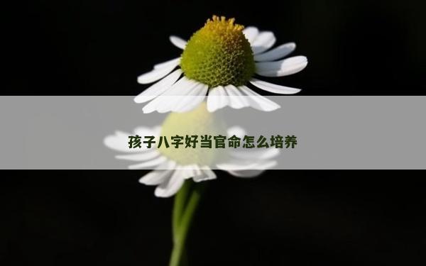 孩子八字好當官命怎么培養