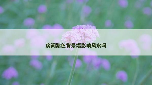 房間紫色背景墻影響風(fēng)水嗎