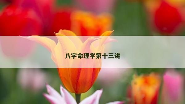 八字命理學第十三講