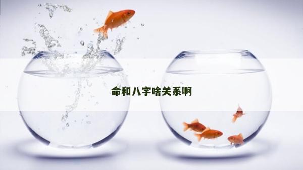 命和八字啥關系啊