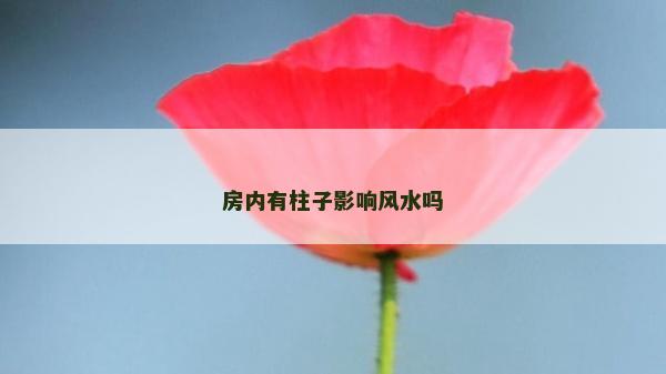 房內有柱子影響風水嗎