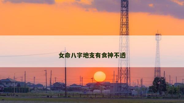 女命八字地支有食神不透