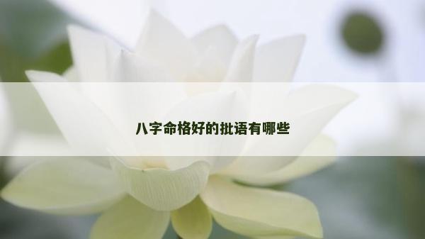八字命格好的批語有哪些