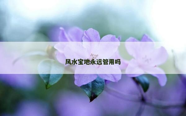 風(fēng)水寶地永遠(yuǎn)管用嗎