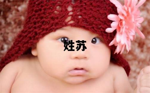 姓蘇叫什么名字好 姓蘇的男孩優美的名字