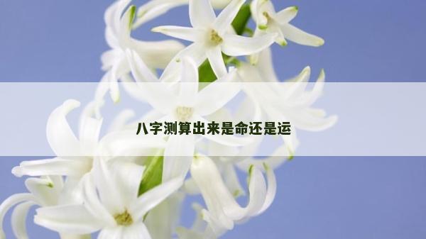 八字測算出來是命還是運