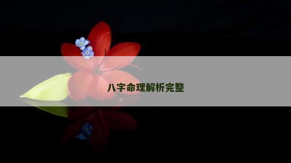 八字命理解析完整 八字命理解析完整
