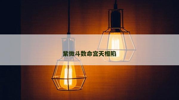 紫微斗數命宮天相陷
