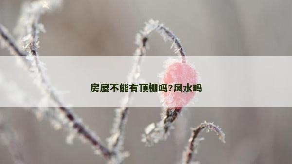 房屋不能有頂棚嗎?風(fēng)水嗎