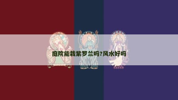 庭院能栽紫羅蘭嗎?風水好嗎