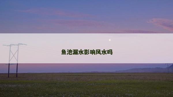 魚池漏水影響風水嗎