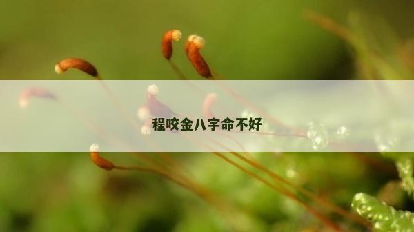 程咬金八字命不好 程咬金八字命不好