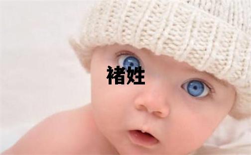 褚姓有涵養(yǎng)的女寶寶名字