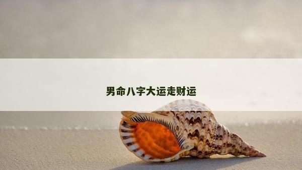 男命八字大運走財運