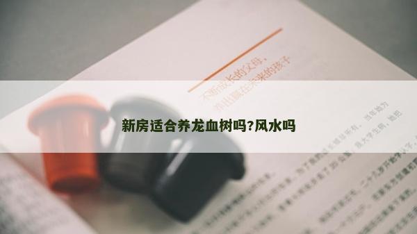 新房適合養龍血樹嗎?風水嗎