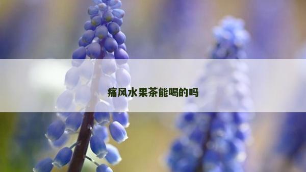 痛風水果茶能喝的嗎