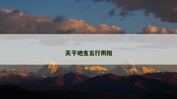 天干地支五行陰陽 天干地支五行陰陽