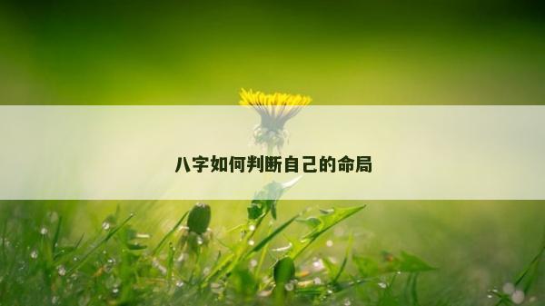 八字如何判斷自己的命局