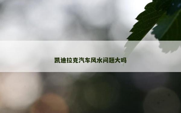 凱迪拉克汽車風水問題大嗎