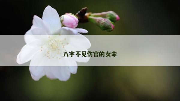 八字不見傷官的女命 八字不見傷官的女命