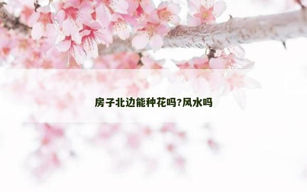 房子北邊能種花嗎?風(fēng)水嗎