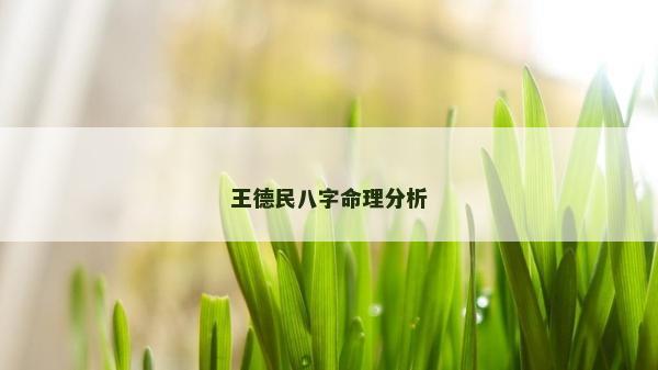 王德民八字命理分析