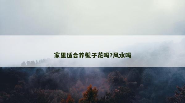 家里適合養梔子花嗎?風水嗎