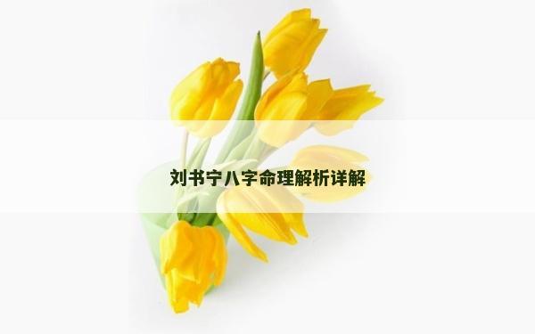 劉書寧八字命理解析詳解