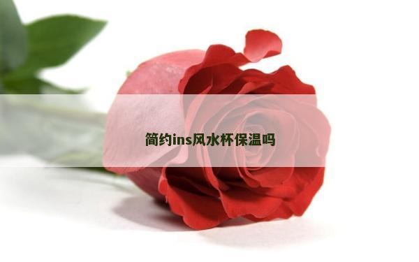 簡約ins風水杯保溫嗎