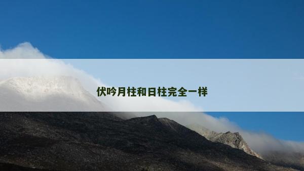 伏吟月柱和日柱完全一樣 伏吟月柱和日柱完全一樣