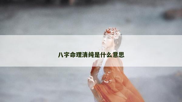 八字命理清純是什么意思