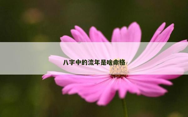 八字中的流年是啥命格