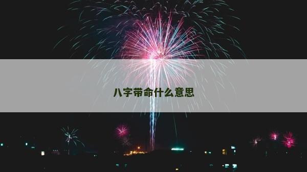 八字帶命什么意思