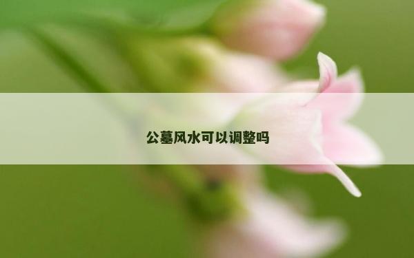 公墓風水可以調整嗎
