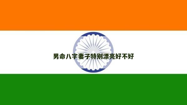 男命八字妻子特別漂亮好不好