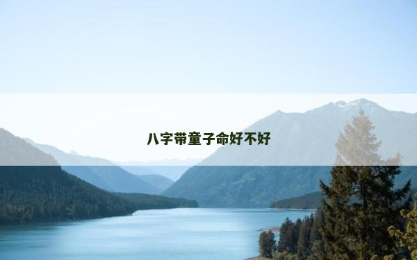 八字帶童子命好不好