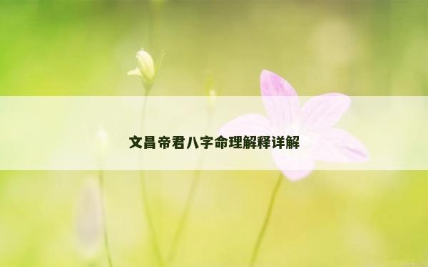 文昌帝君八字命理解釋詳解