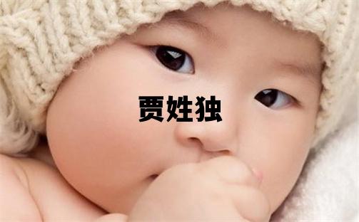 賈姓獨(dú)特優(yōu)美的男寶寶名字