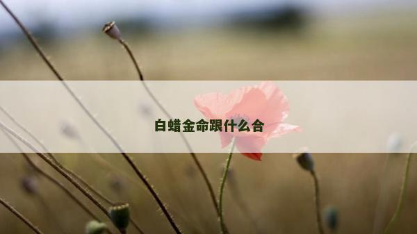 白蠟金命跟什么合 白蠟金命跟什么合