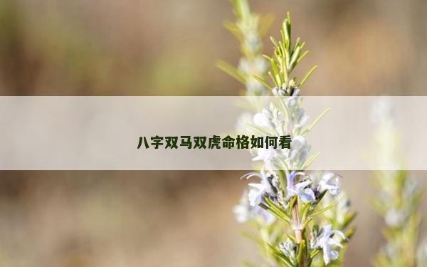 八字雙馬雙虎命格如何看