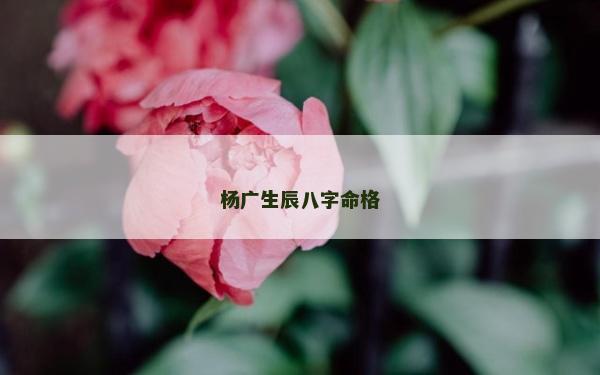 楊廣生辰八字命格