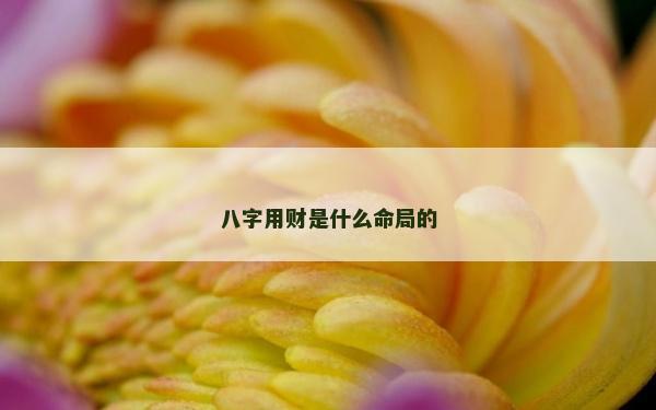 八字用財是什么命局的
