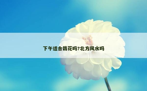 下午適合栽花嗎?北方風水嗎