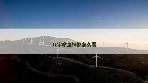 八字命盤神煞怎么看