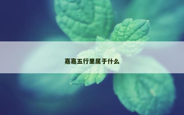 嘉嘉五行里屬于什么